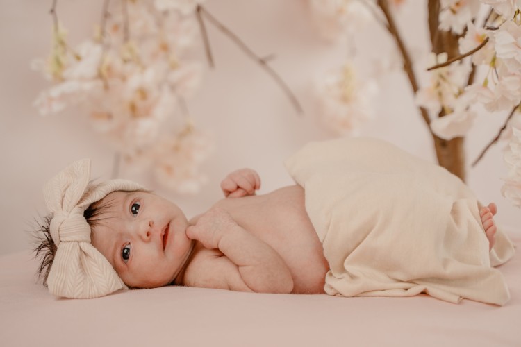 Newbornfotograaf met studio te Antwerpen