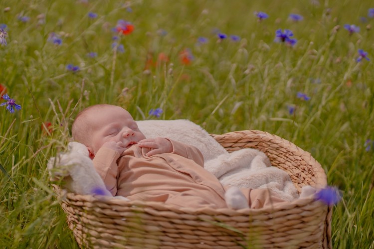 Newbornfotograaf Hoogstraten