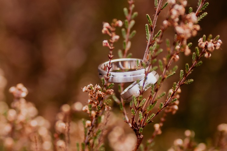 Fairytale wedding fotograaf Huwelijksfotograaf Antwerpen Kempen