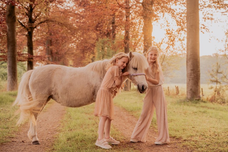 gezinsfotograaf Turnhout, Beerse, Vosselaar