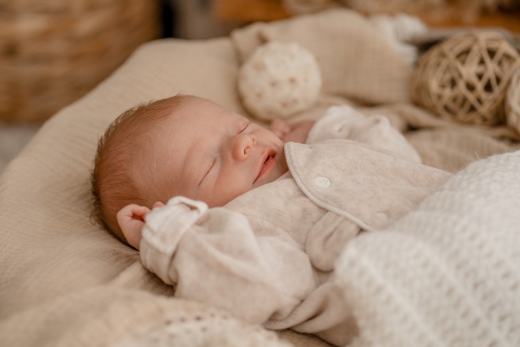 Newborn fotograaf Brecht